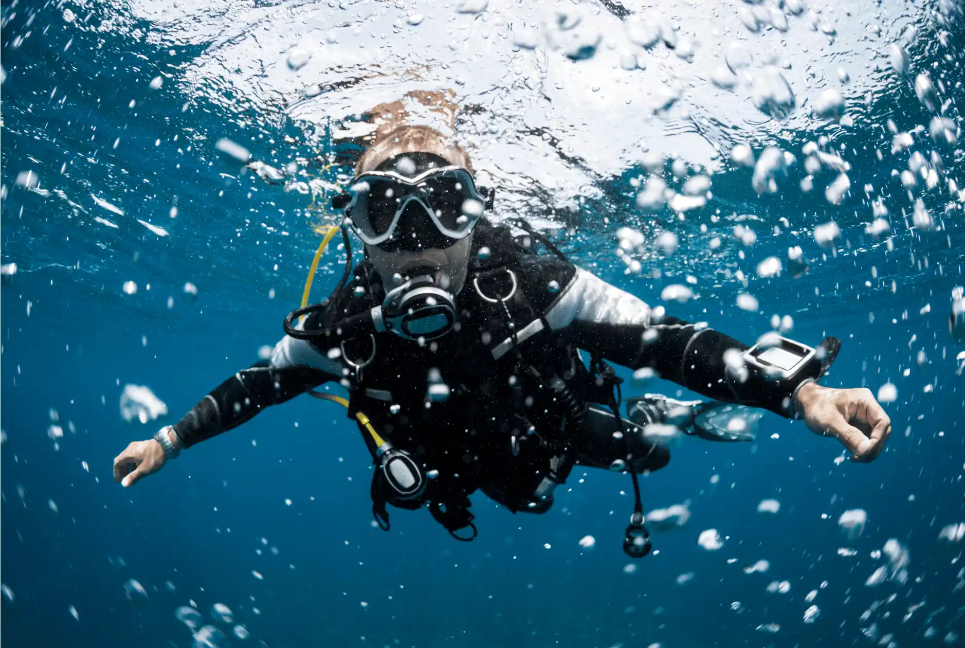 scuba diving vs freediving